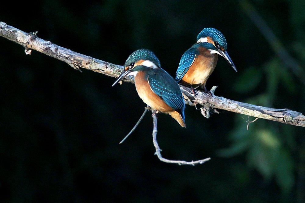 Photograph by Anna Suchcicka