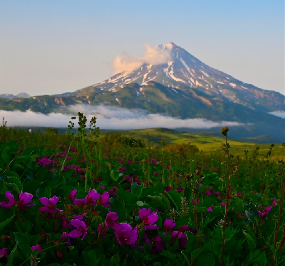 Photograph by Karasev Pavel