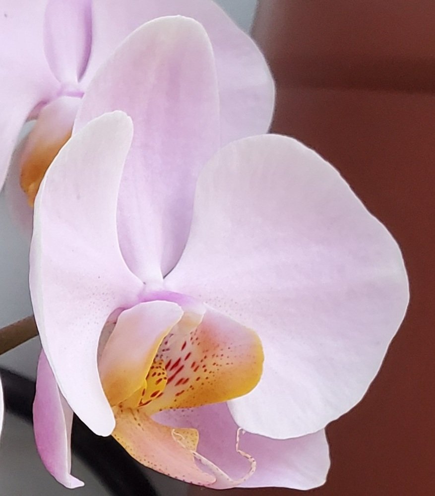 Photo #4893917