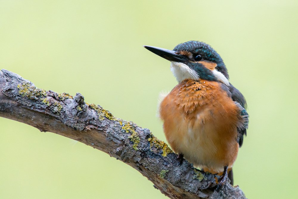 Photograph by Михаил Гнатковский