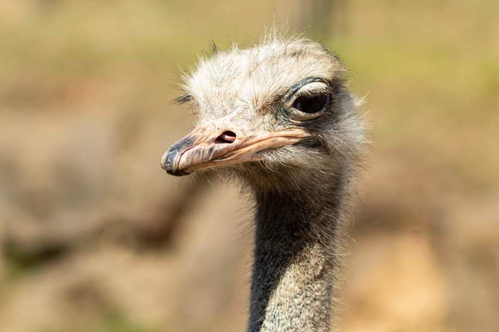 Photograph by Jose Luis Llamazares