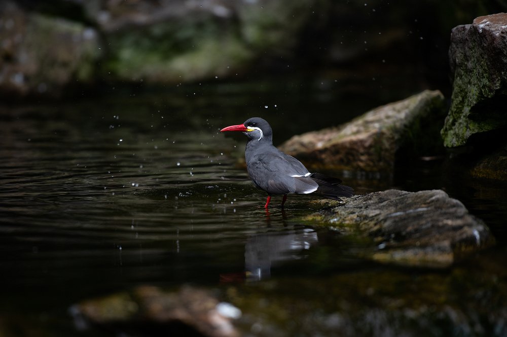 Photograph by Юлия Борт