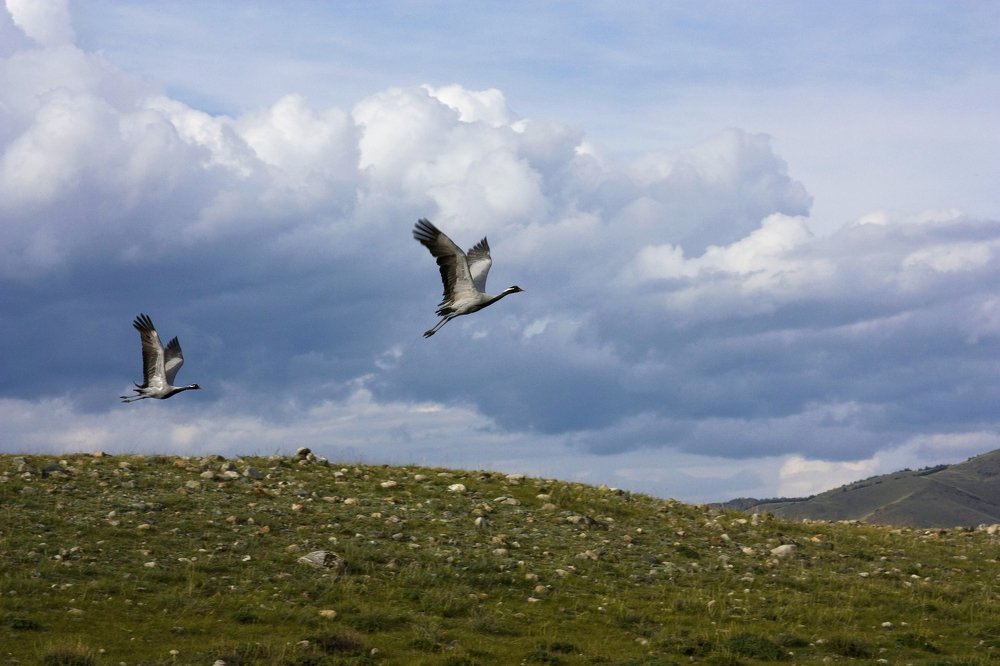 Photograph by Мария Самоловова