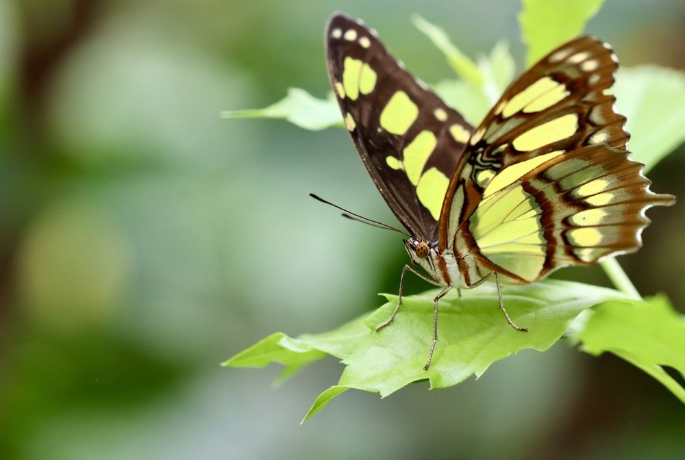 Photograph by Малика Маткарим