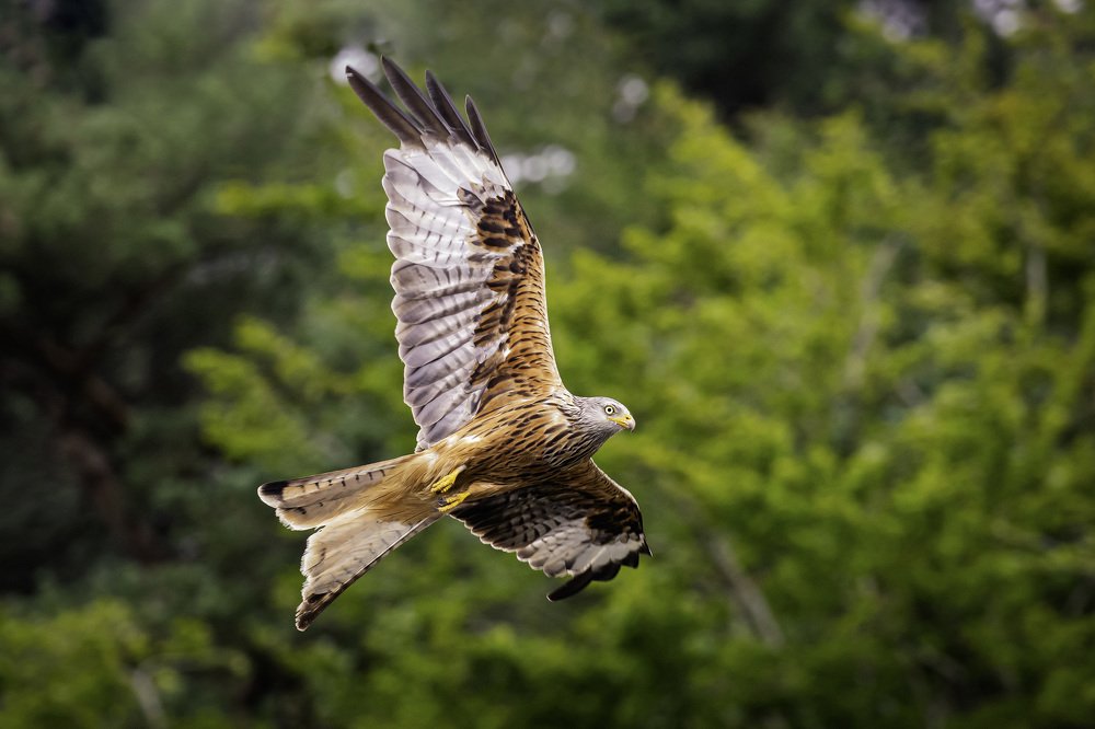 Photograph by Aga Glowala