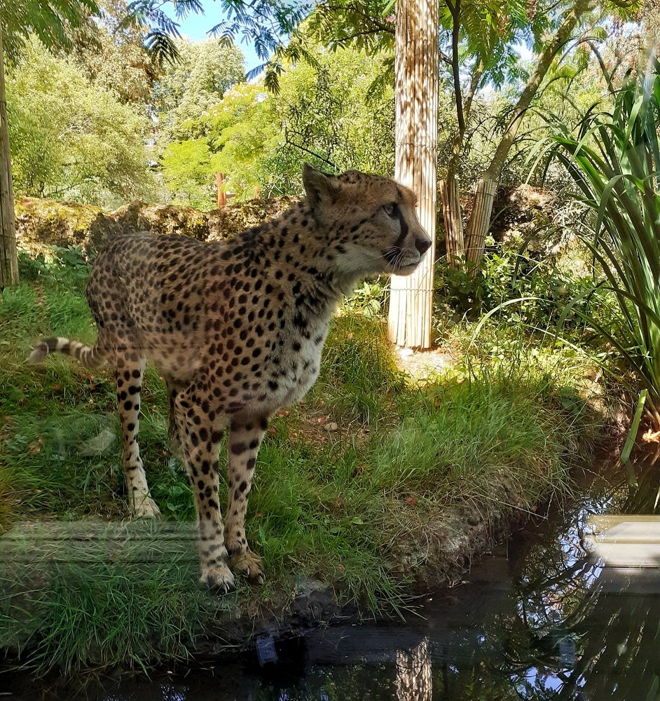 Photograph by Valentyn Kozachok