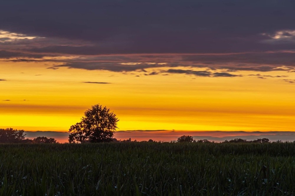 Photograph by Sabine Heleven