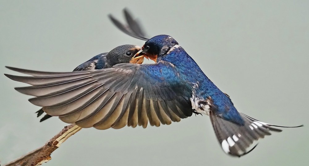 Photograph by Kan Chung Wong