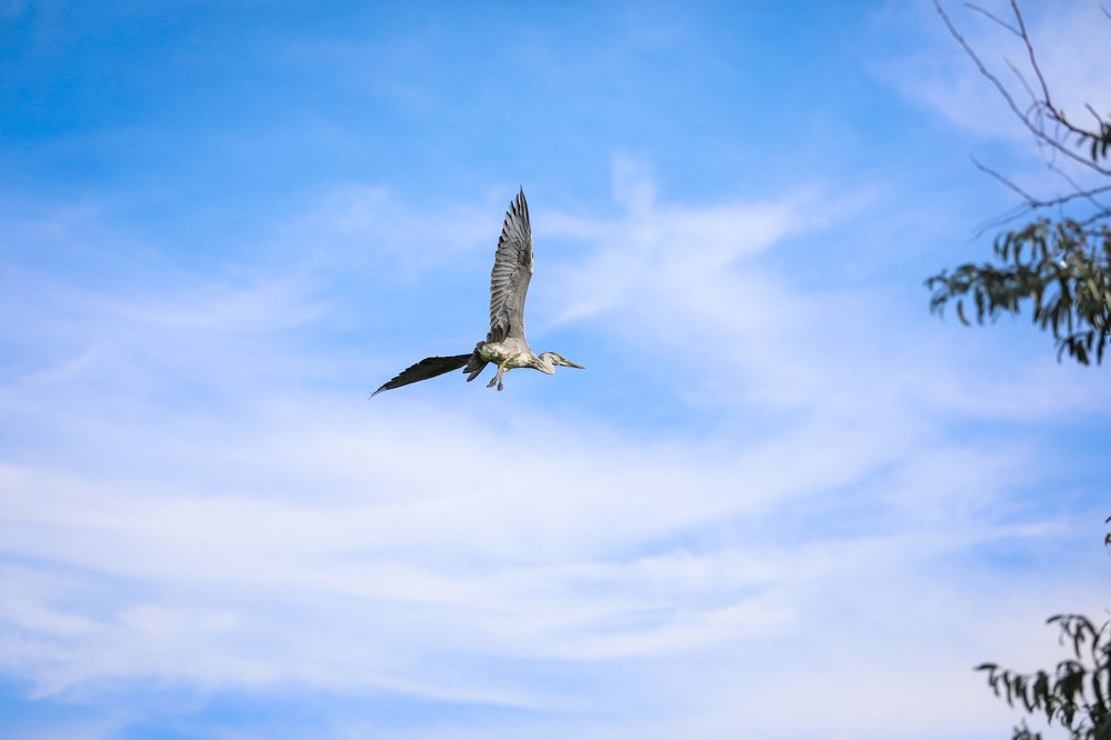 Photograph by Александр Яновский