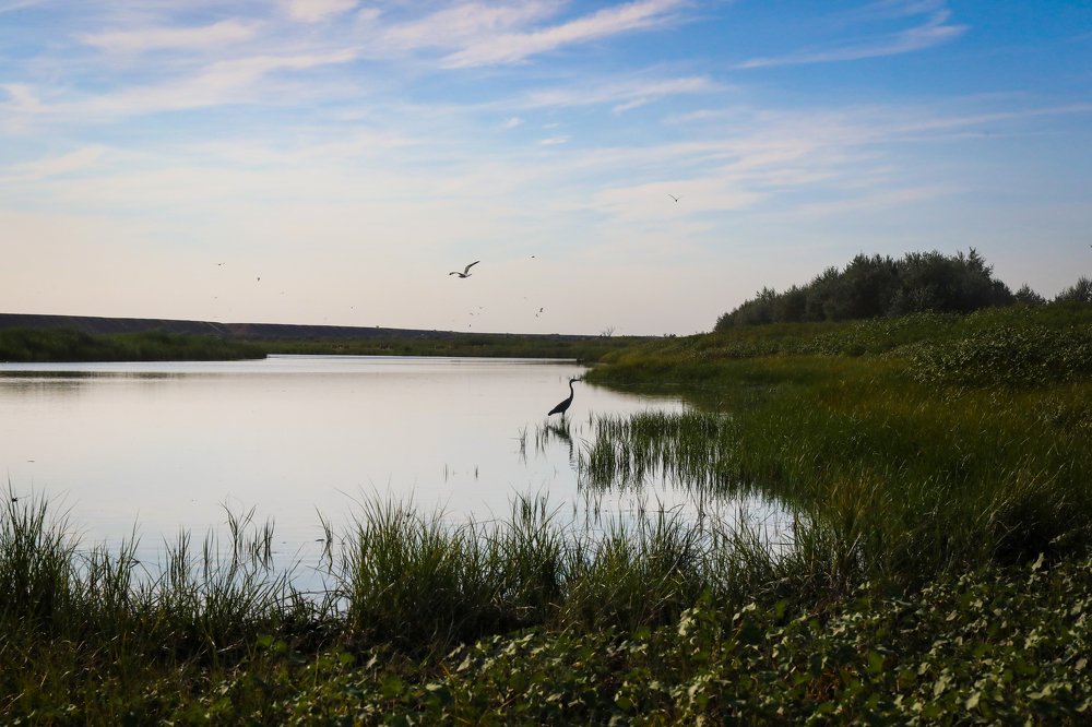 Photograph by Александр Яновский