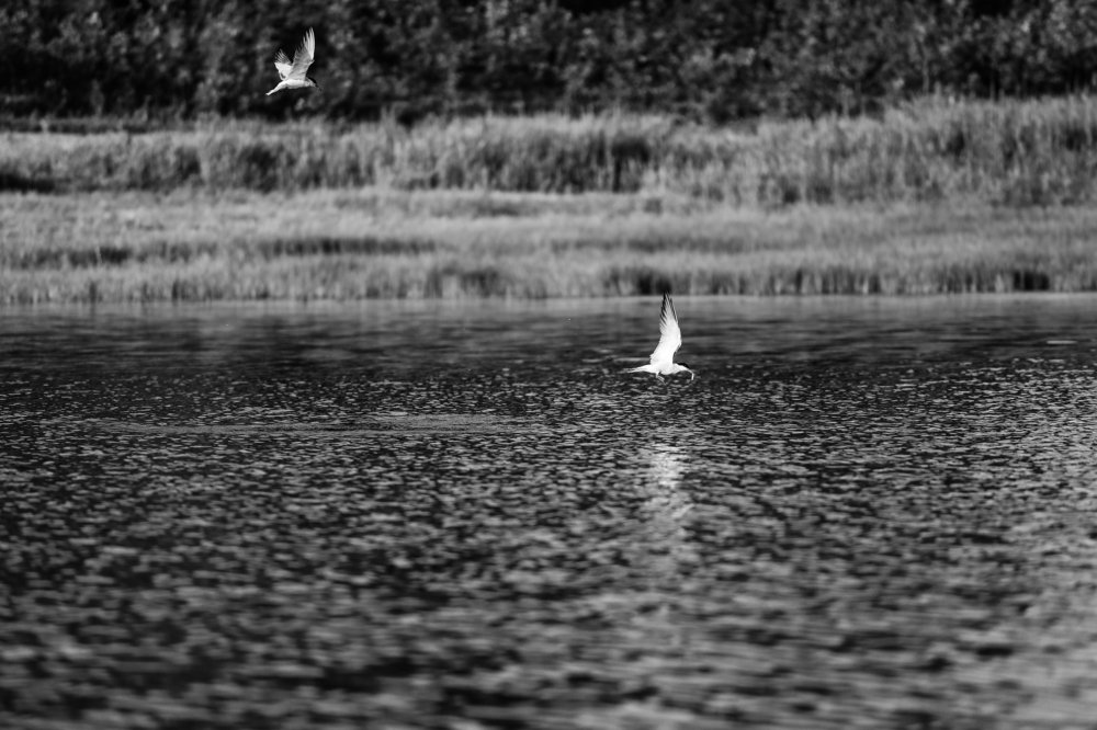 Photograph by Яновский Александр