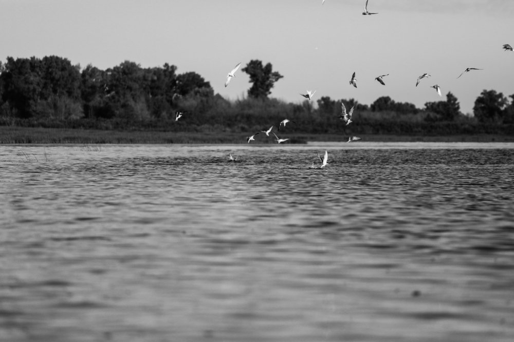 Photograph by Яновский Александр