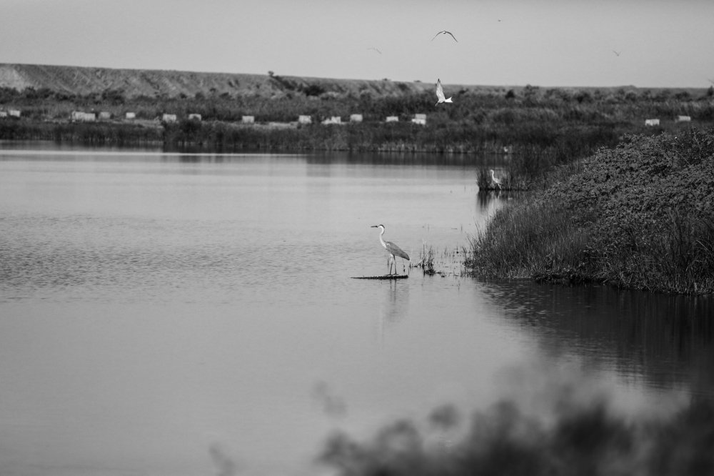 Photograph by Александр Яновский