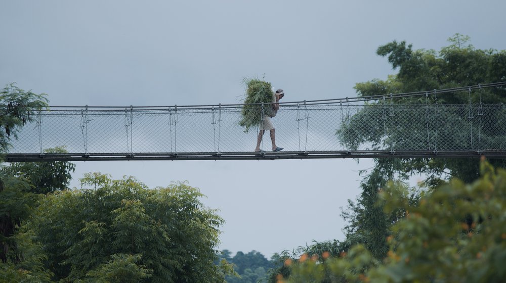 Conceptual photo.