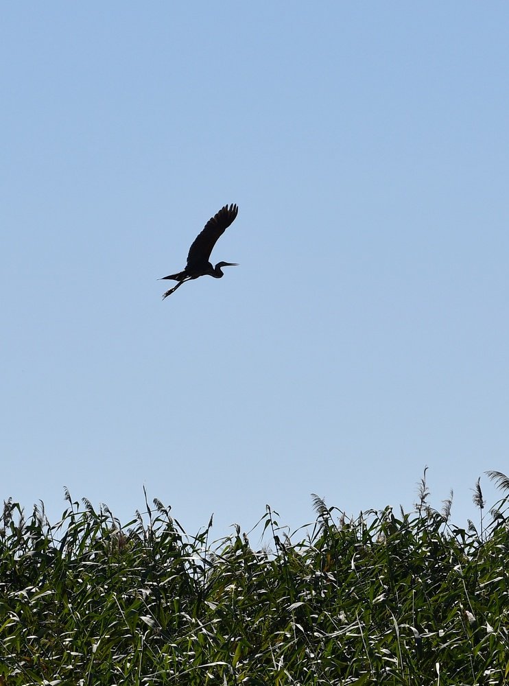Фотография автора Дмитрий Чуфаров