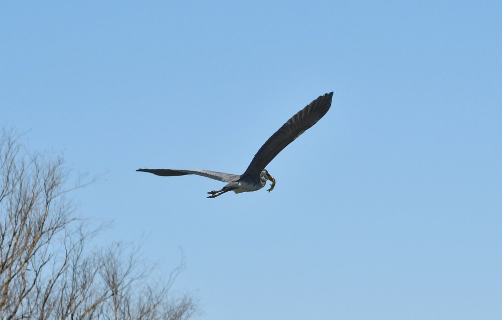 Фотография автора Дмитрий Чуфаров