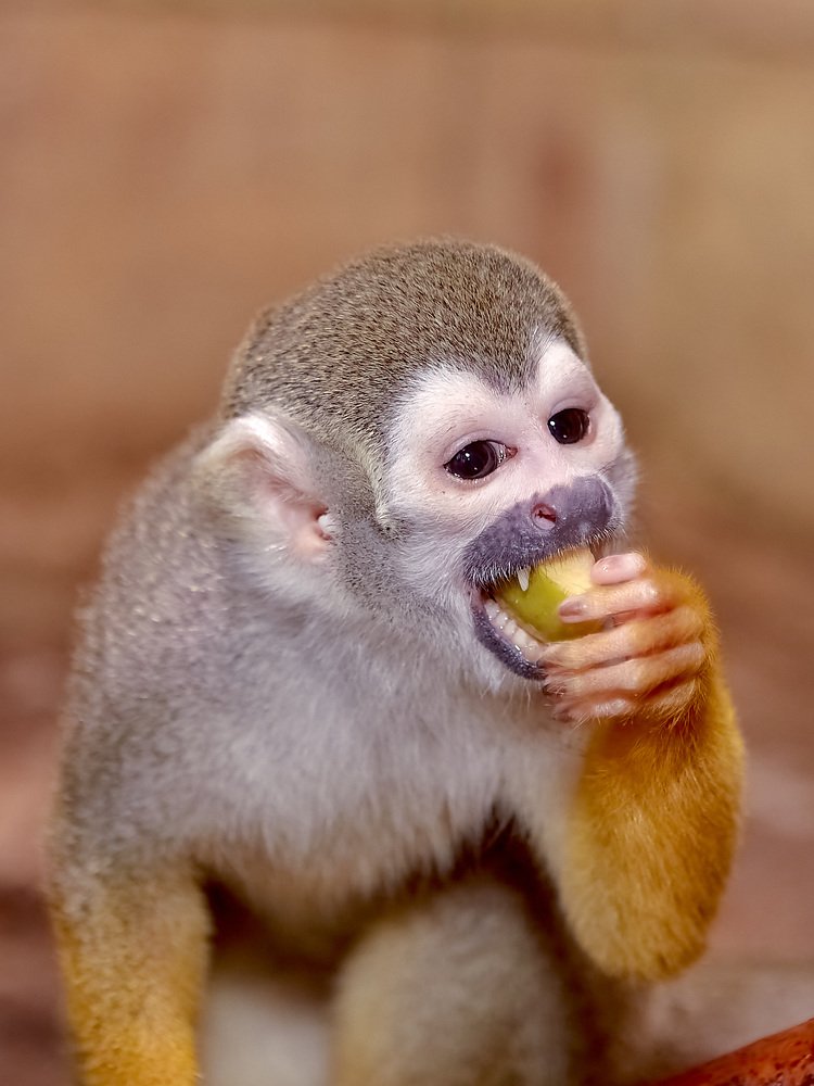 Photograph by Елена Мормоль