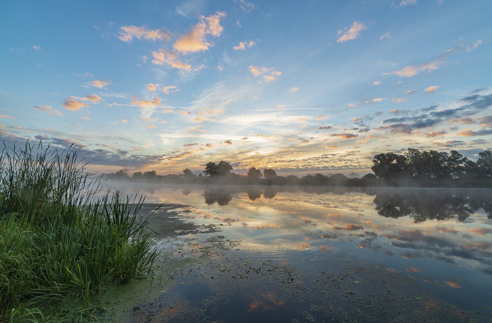Photograph by Дмитрий Новоселов