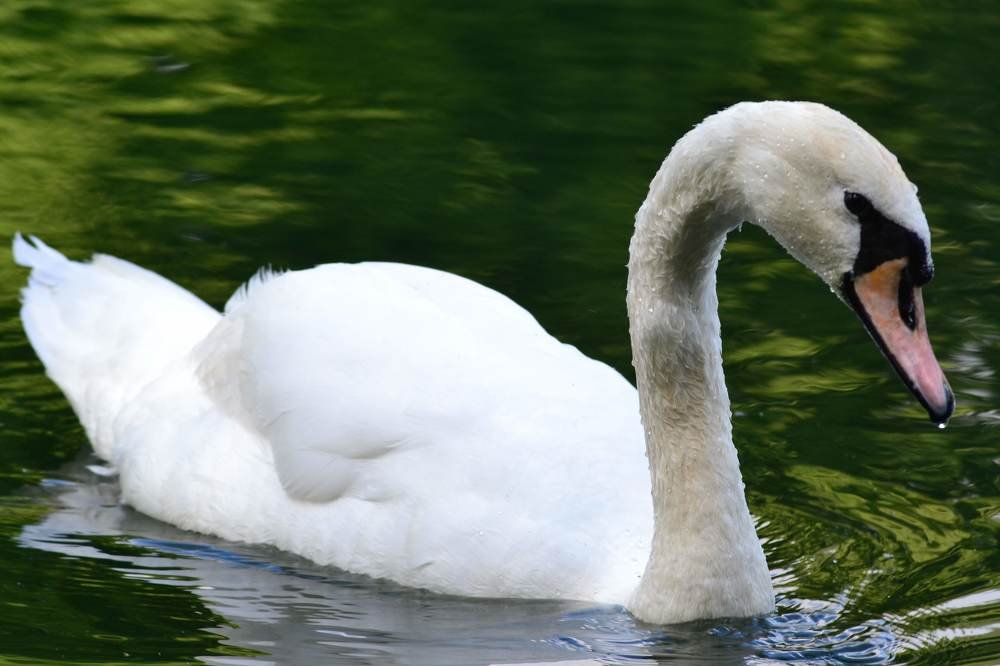 Photograph by александр фетисов