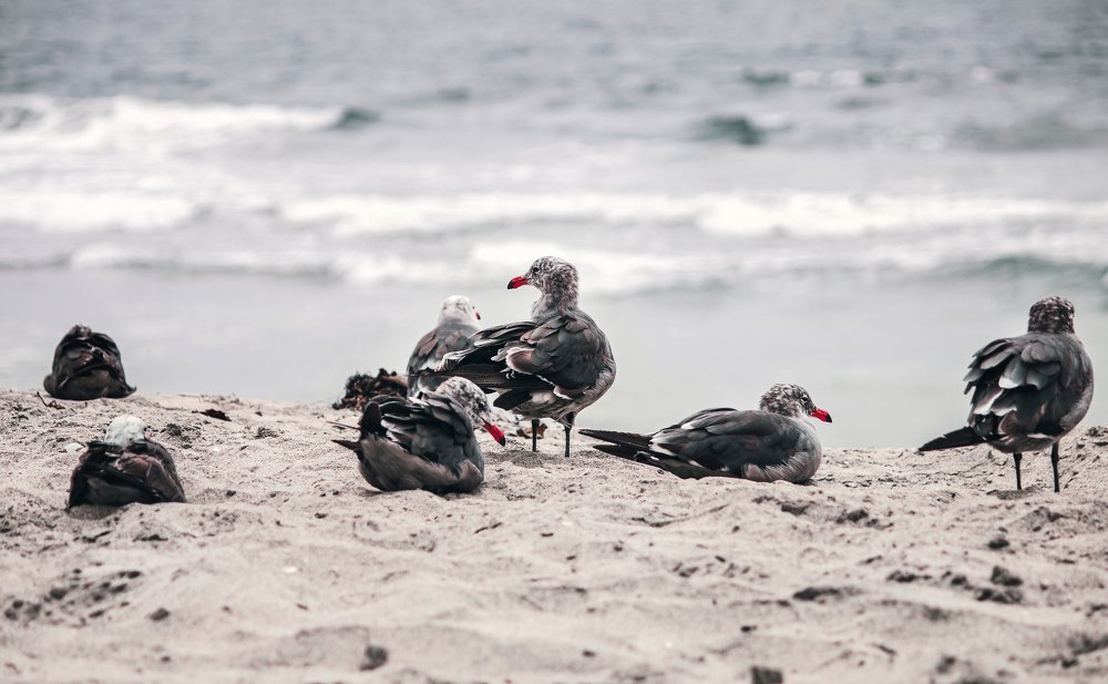 Photograph by Александр Волков