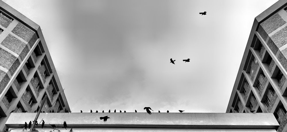 Photograph by Tofayel Ahmed