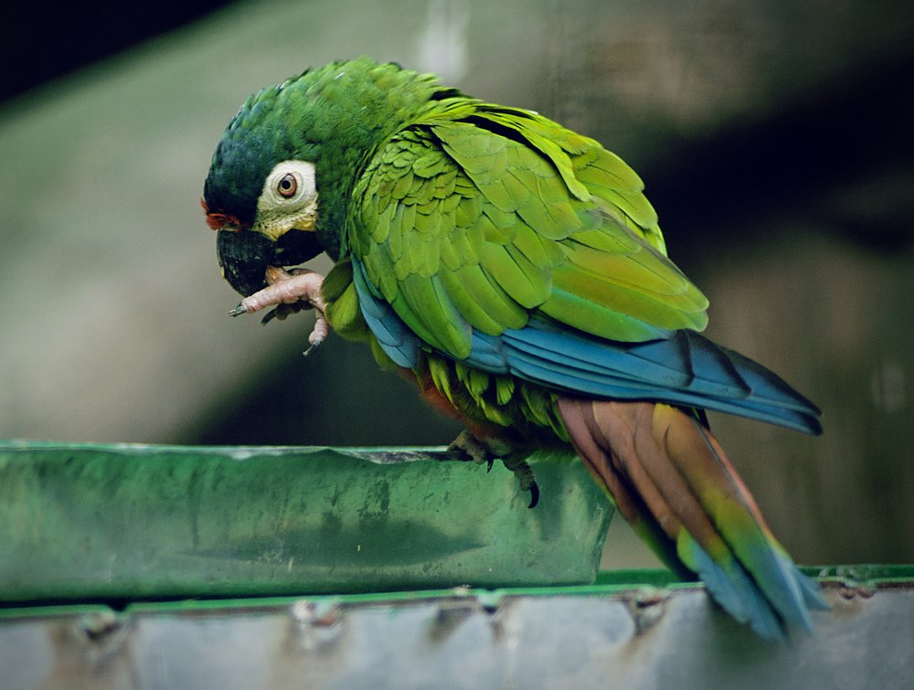 Photograph by Abid Ali Khan