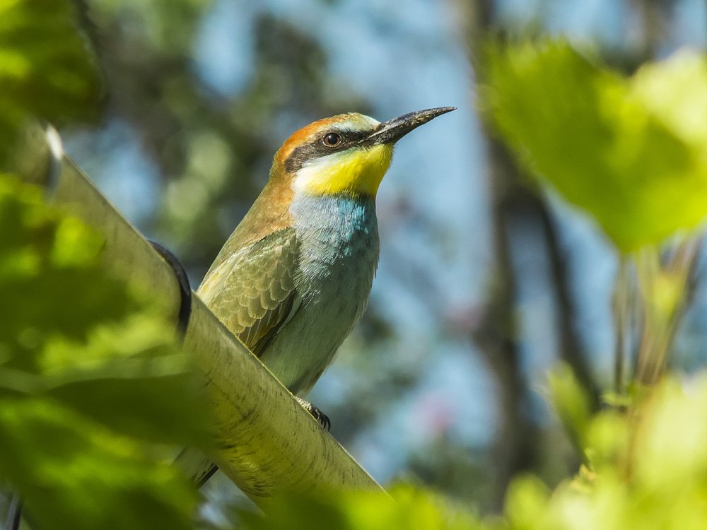 Photograph by Владимир Богданов