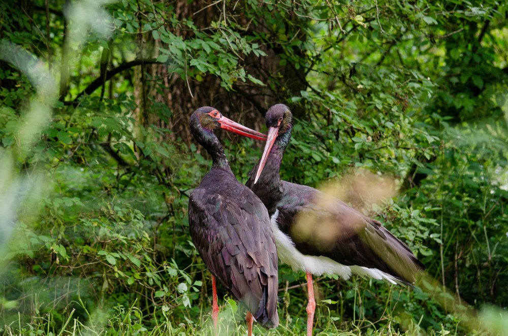 Photograph by Олег Смирнов