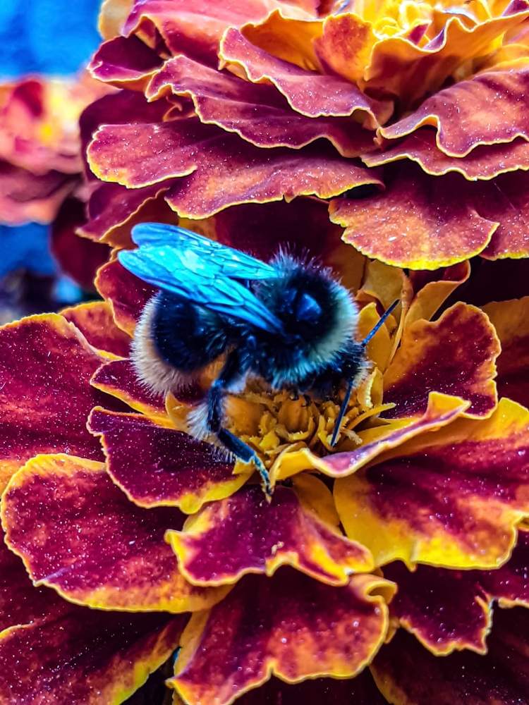 Photograph by Анна Быкова