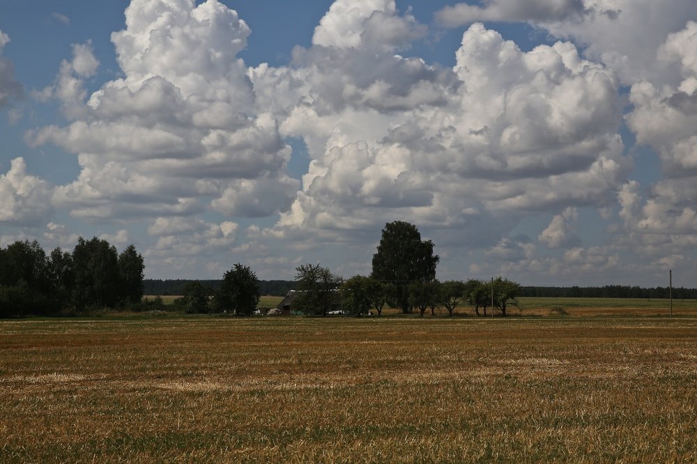 Фотография автора Наталья Васько -Черданцева