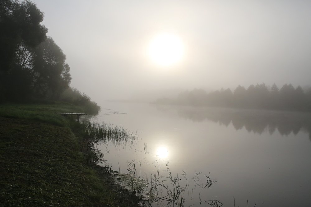 Фотография автора Наталья Васько -Черданцева