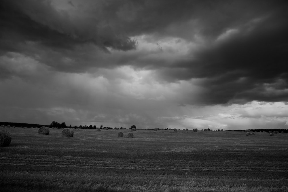 Фотография автора Наталья Васько -Черданцева