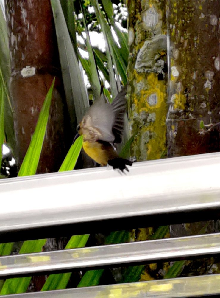 Photograph by Chunhou Poon