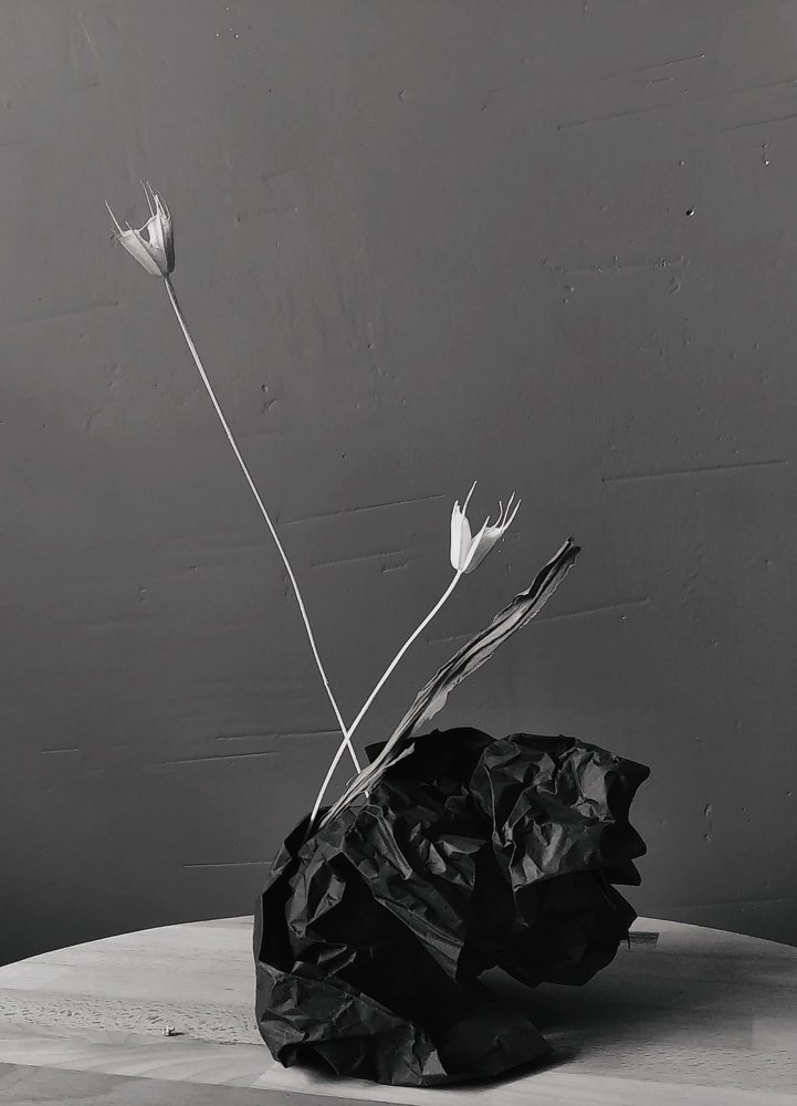 Photograph by Наталья Кузнецова