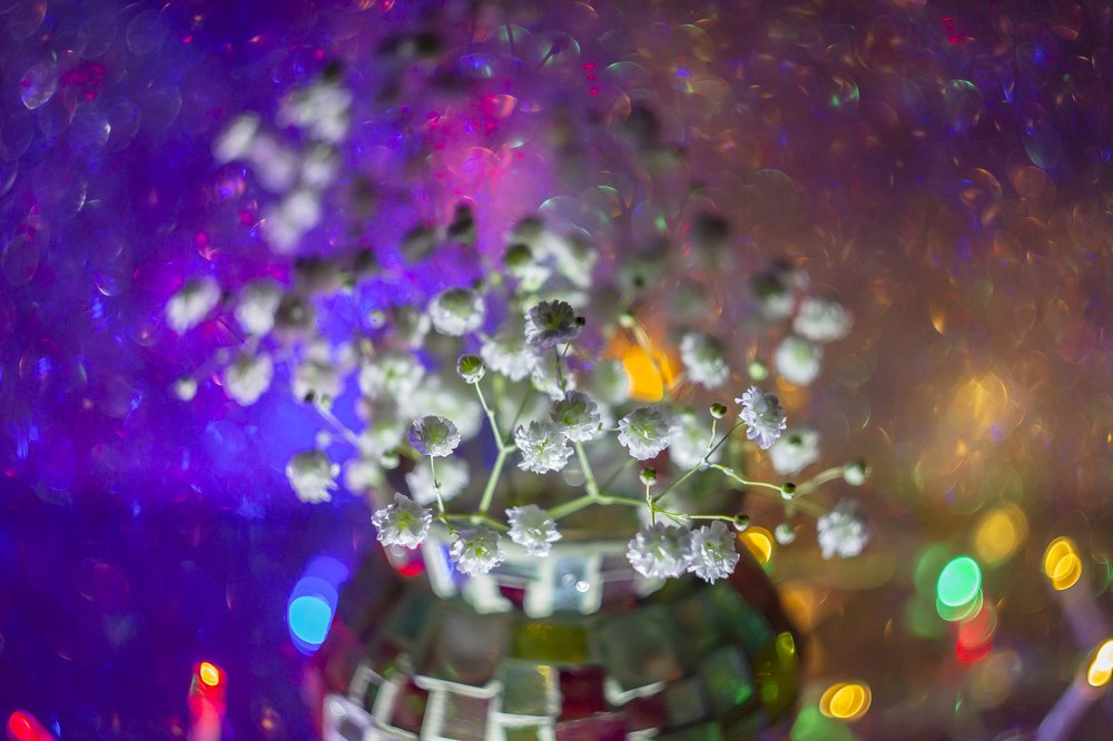 Photograph by Katja Sen