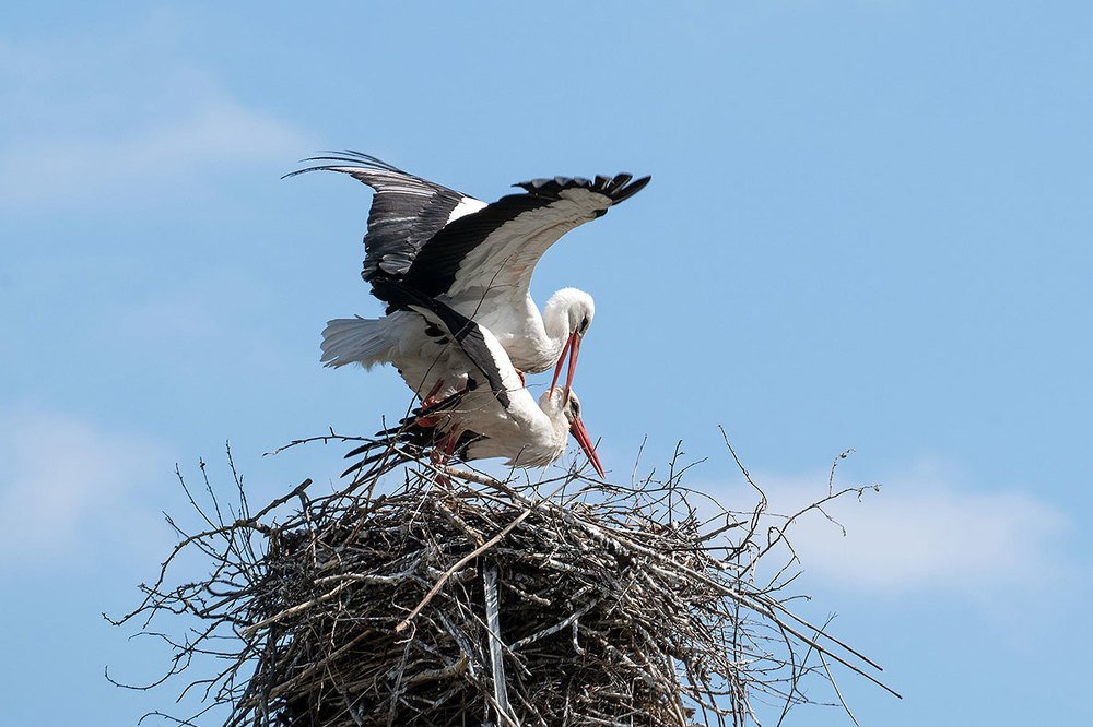 Фотография автора ЯR Ольга