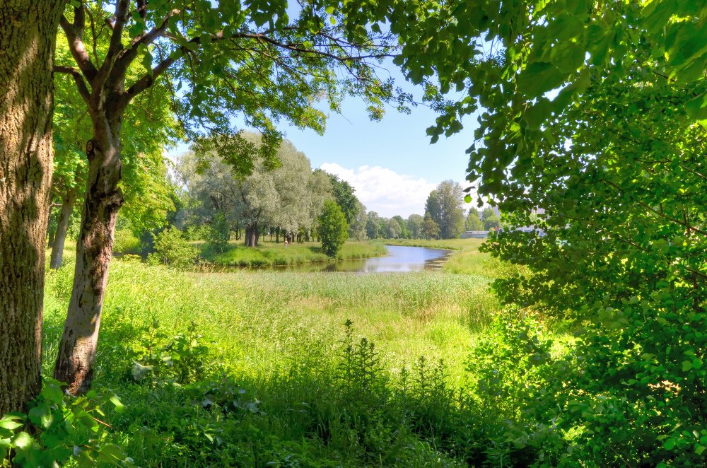 Взгляд из скорлупы