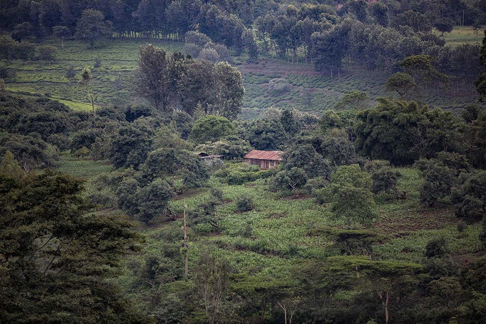 Photograph by ARUN THARAKAN THARAKAN