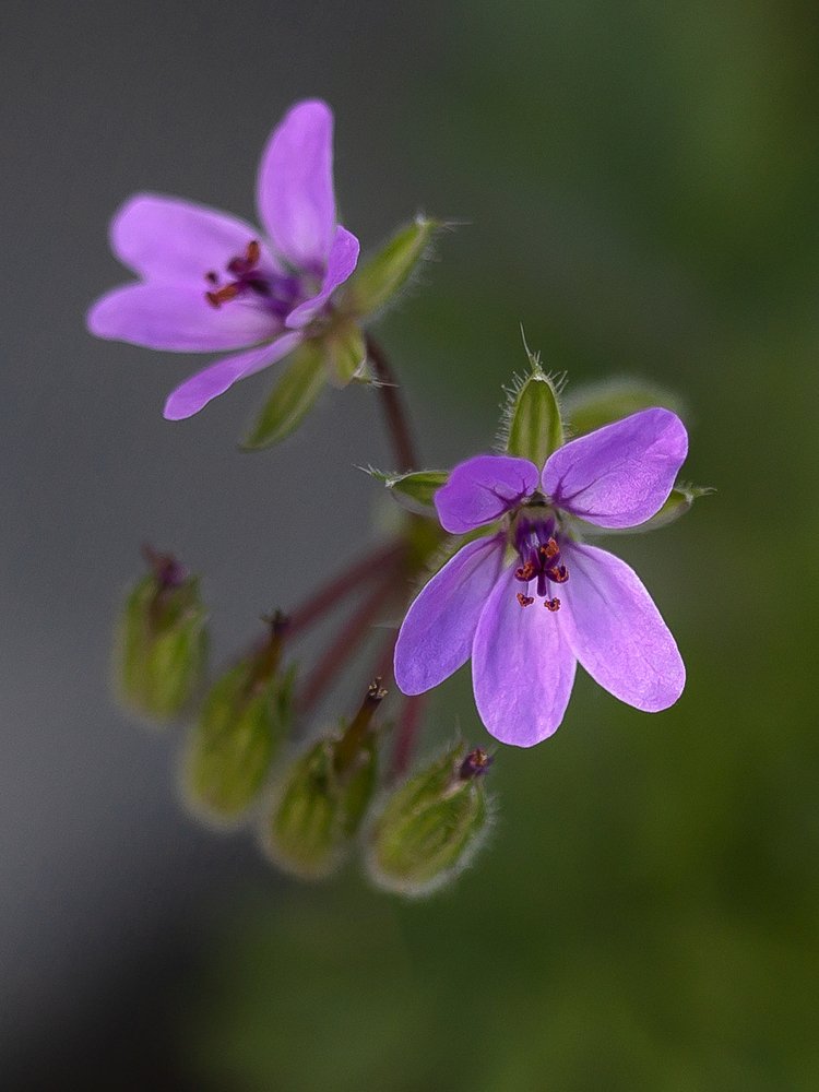 Photograph by Олег Тетерин