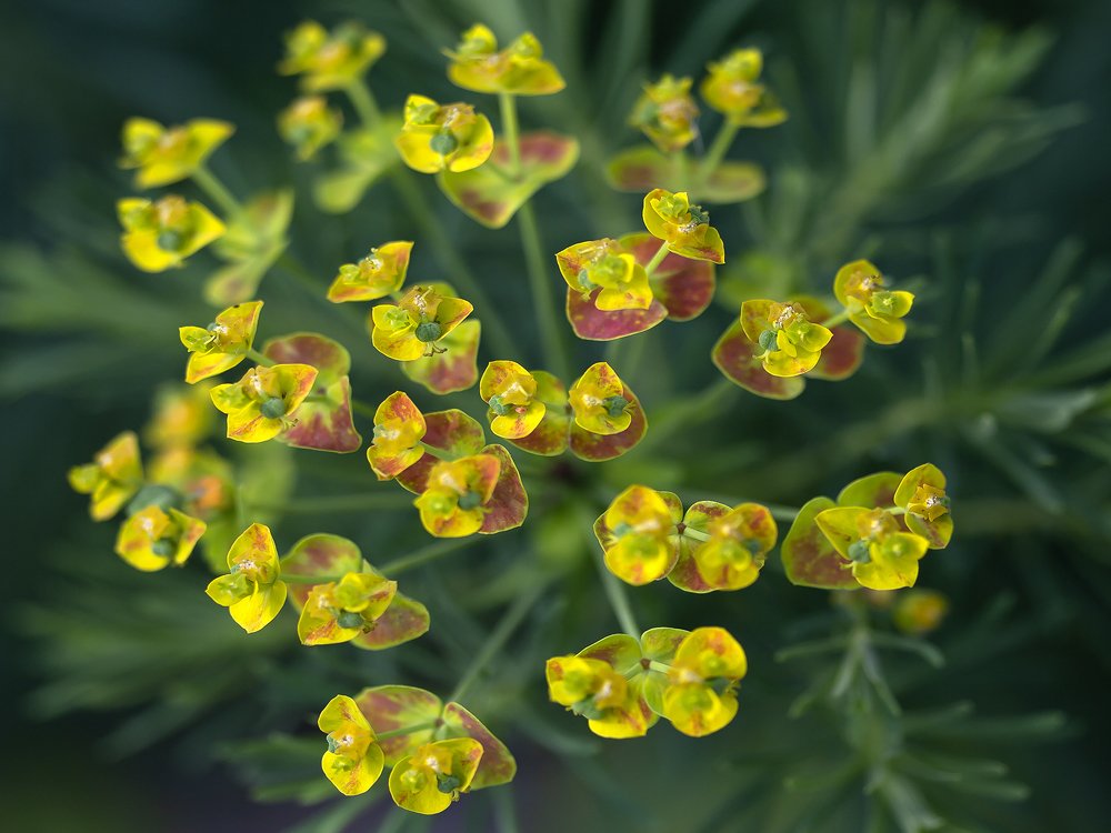 Photograph by Олег Тетерин