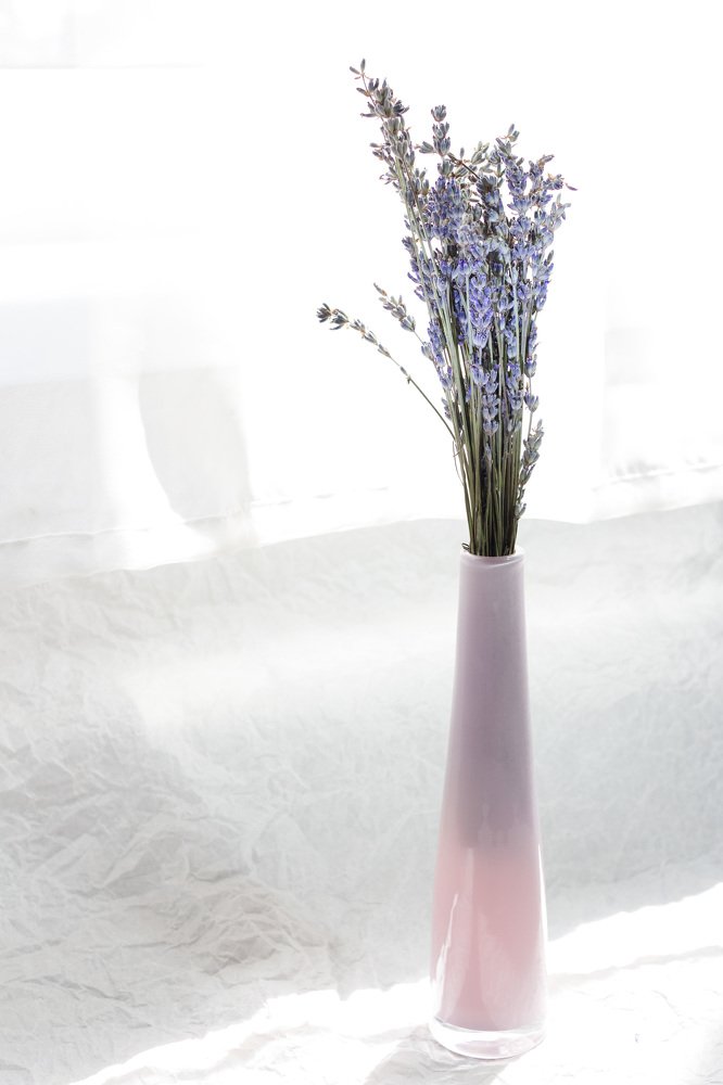 Photograph by Маргарита Таценко