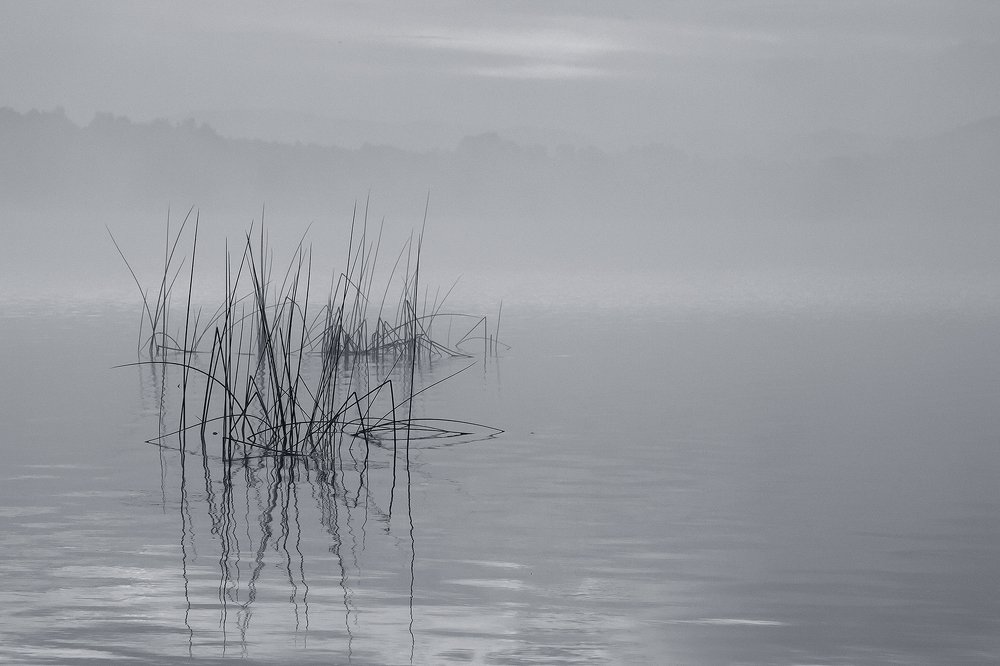 Photograph by Олег Тетерин