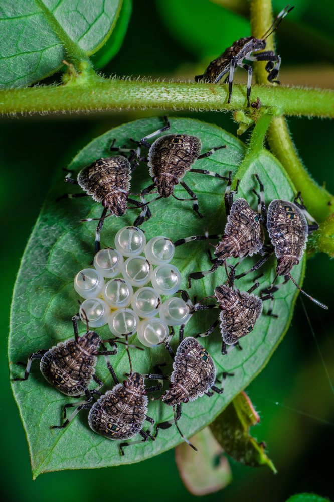 Photograph by Prity Goswami