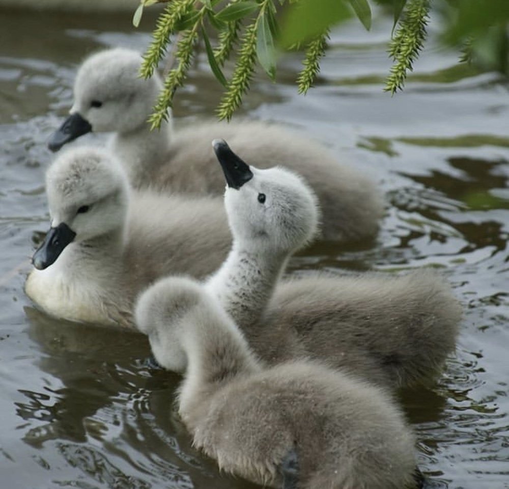 Почти как взрослый