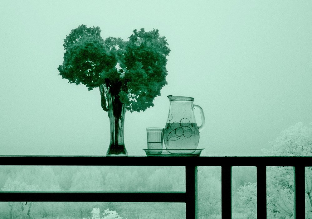 Photograph by Сергей Кузнецов