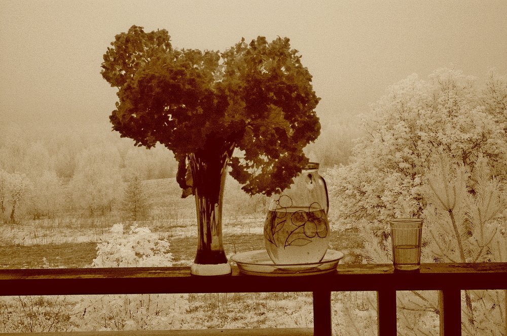 Photograph by Сергей Кузнецов