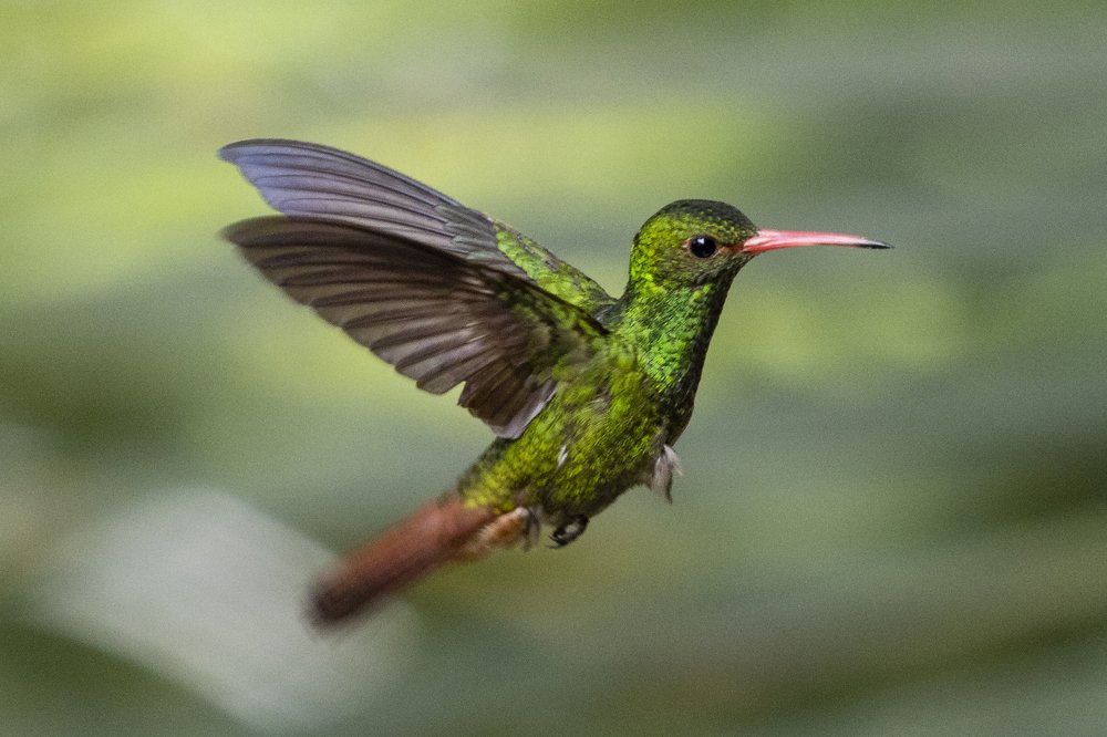 Photograph by Juan Fernando Escobar Ochoa