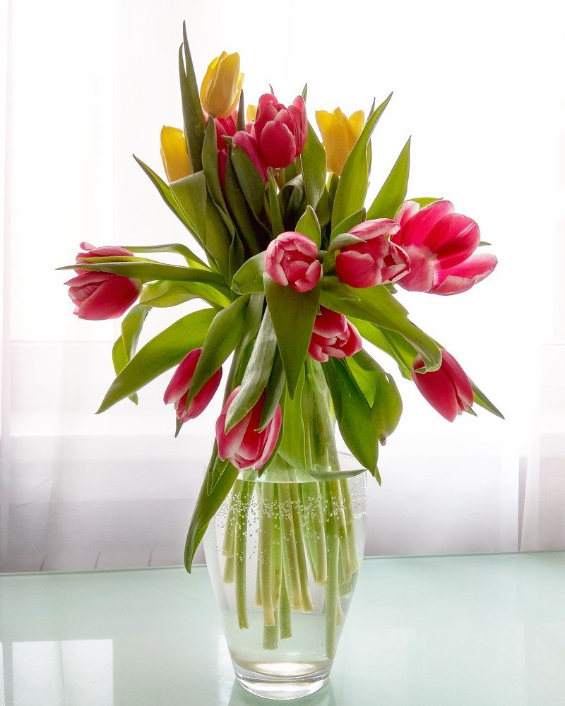 Photograph by Валерий Карпенко