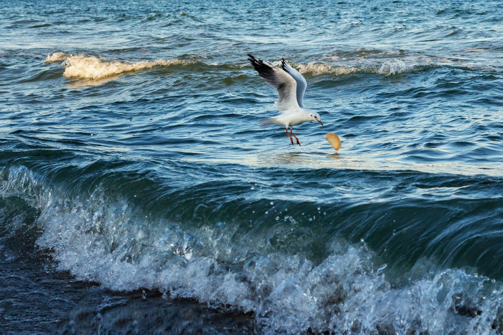 Photograph by Виктория Бурова