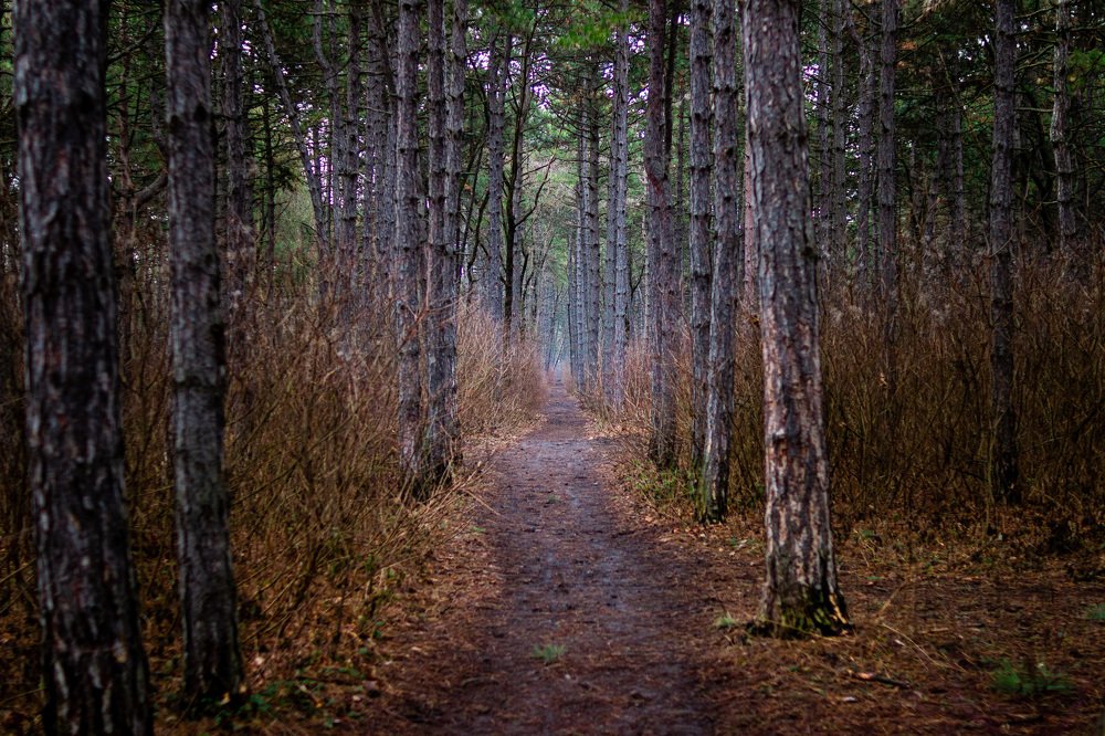 Photograph by Маргарита Таценко